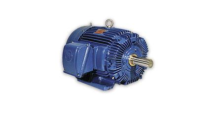 Low Voltage Motor