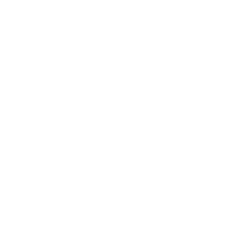 white check mark icon